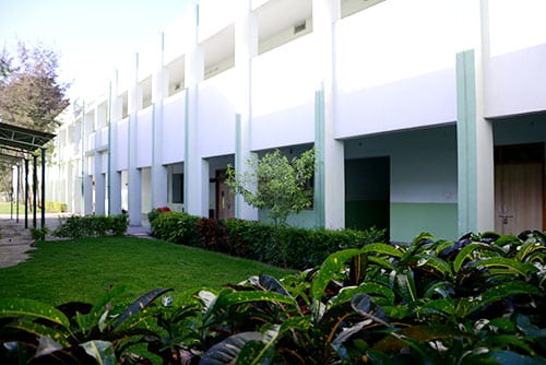 Senior Block